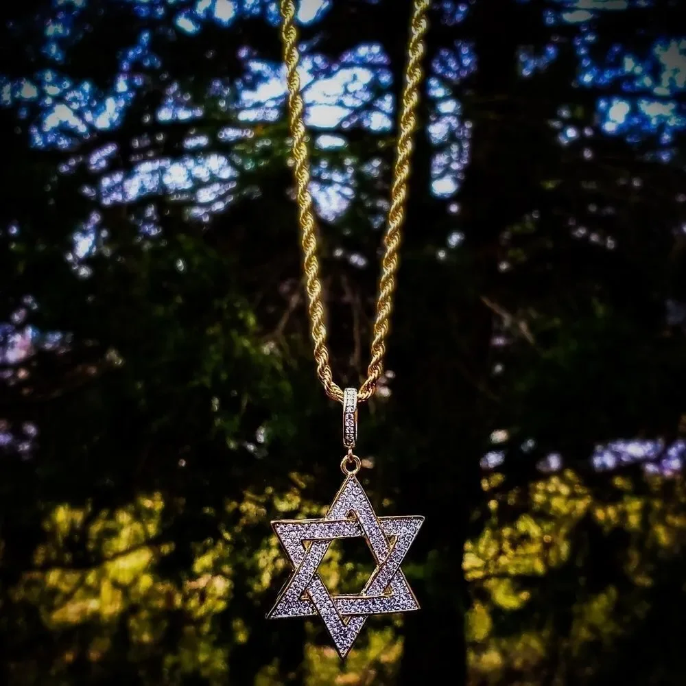 14k Gp Stainless steel Star of David Necklace
